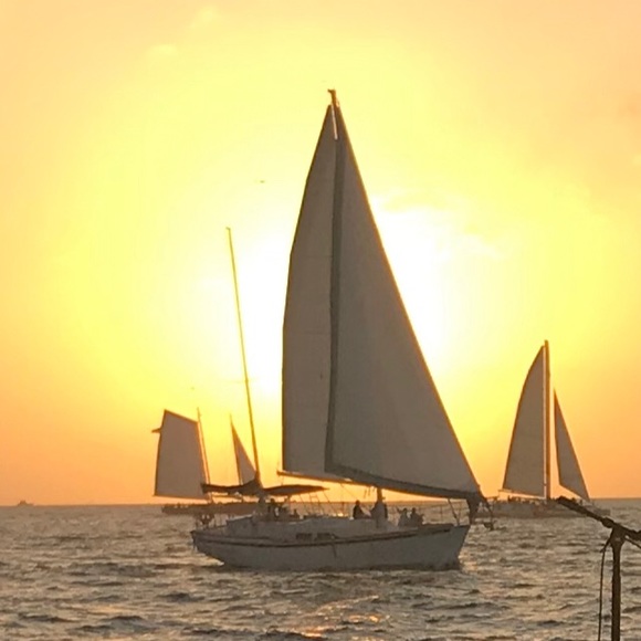 Meet your Posher, Rusty - Picture 1 of 1